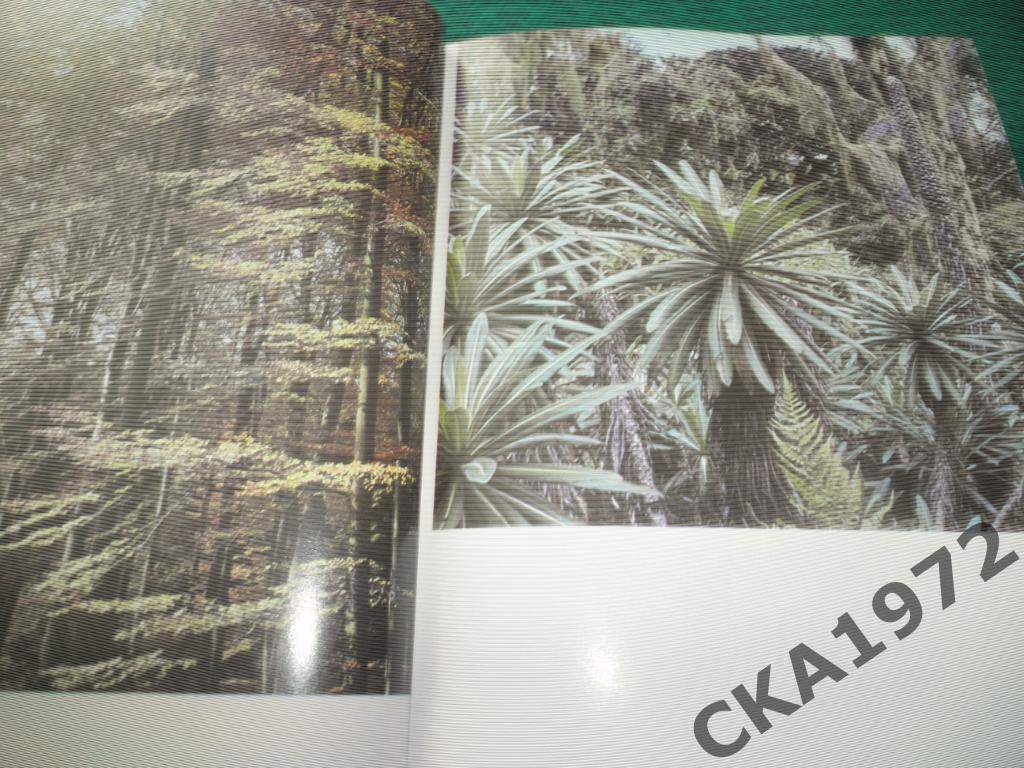 Иллюстрированная энциклопедия лесов Издание ЧССР 1987 год 432 страницы 2