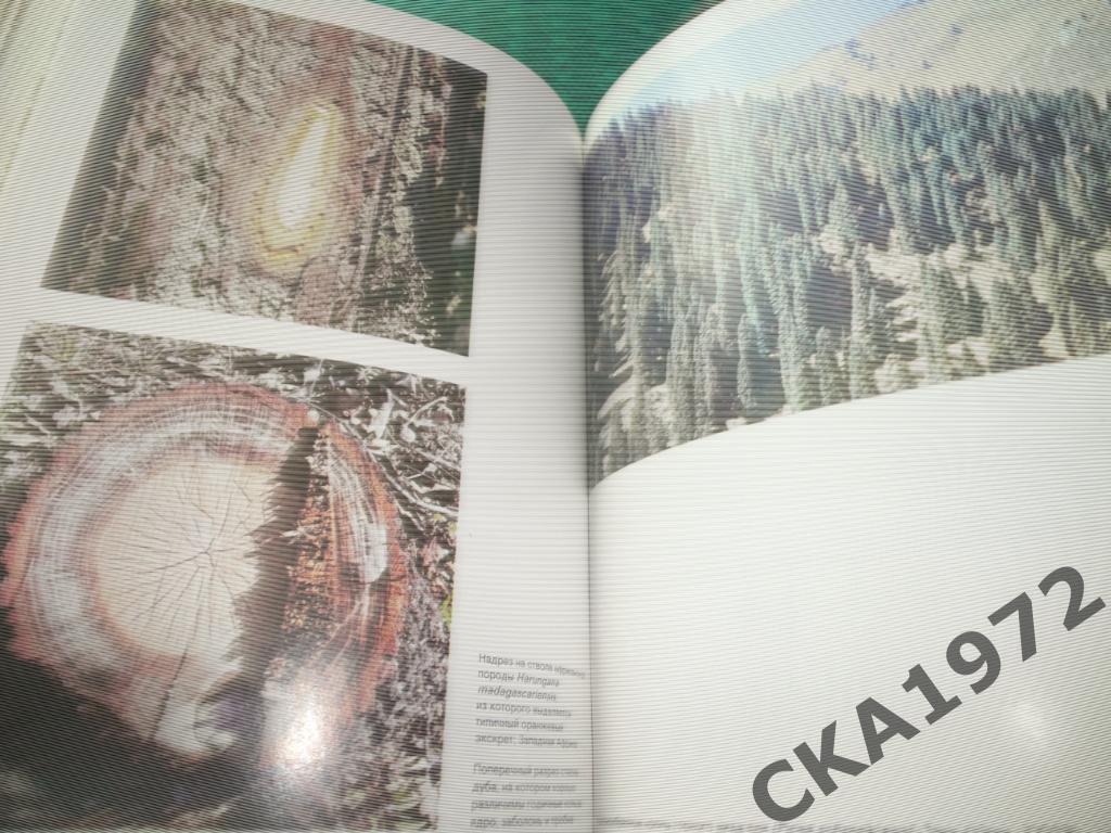 Иллюстрированная энциклопедия лесов Издание ЧССР 1987 год 432 страницы 3