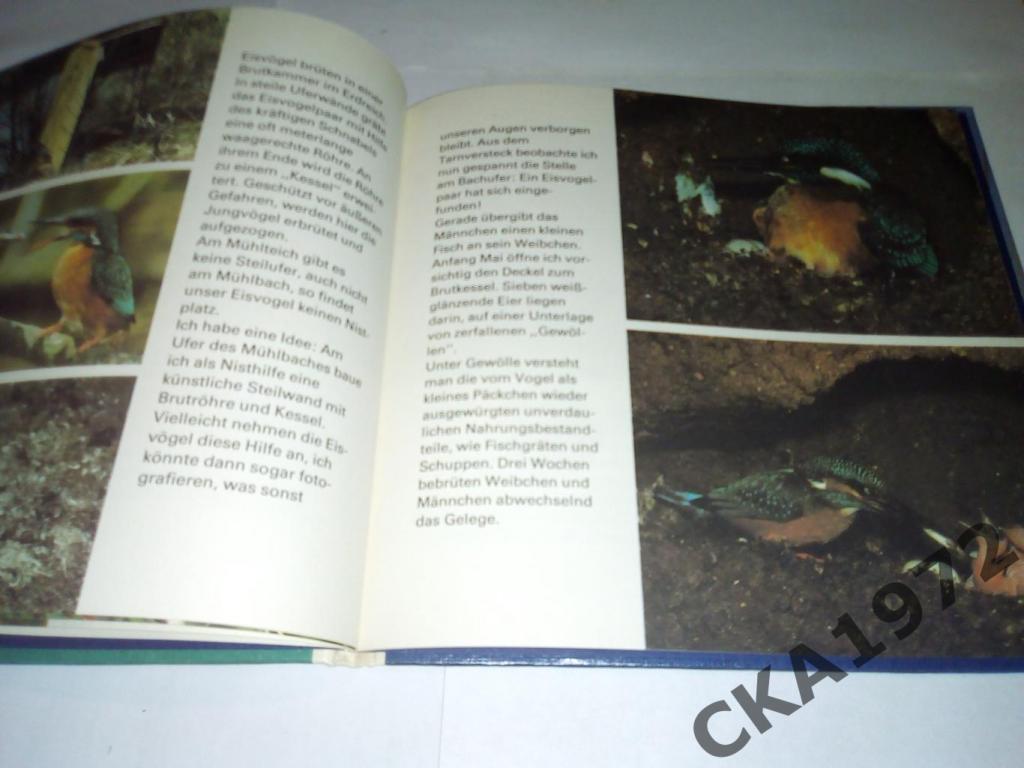 книга для детей Teich-expedition Экспедиция к пруду. На немецком языке 1980 3