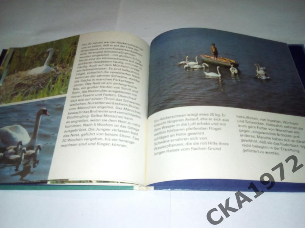 книга для детей Teich-expedition Экспедиция к пруду. На немецком языке 1980 4