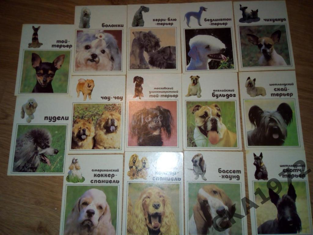 набор открыток Собаки 1991