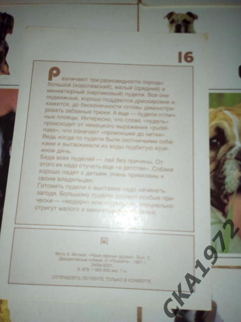 набор открыток Собаки 1991 1