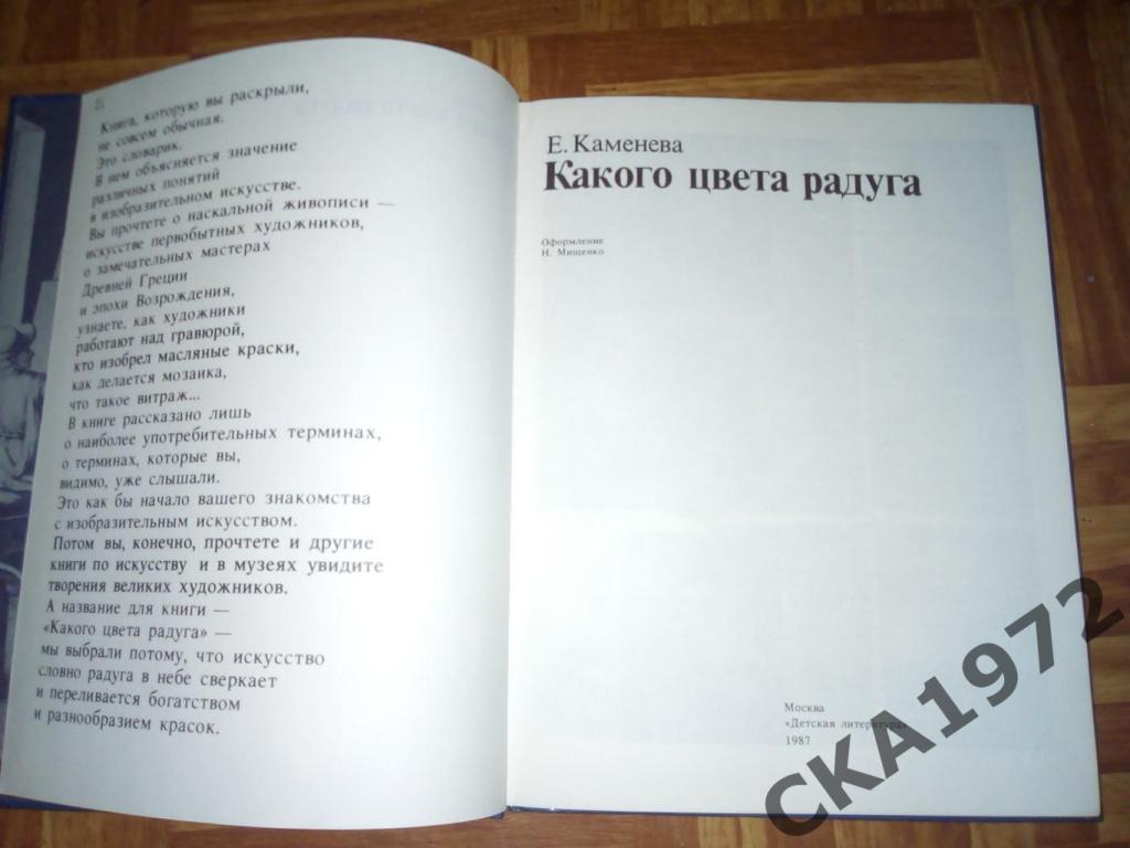 книга Е.Каменева Какого цвета радуга 1987 Про живопись для детей 1