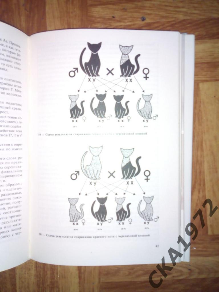 книга Атлас пород кошек 1984 2