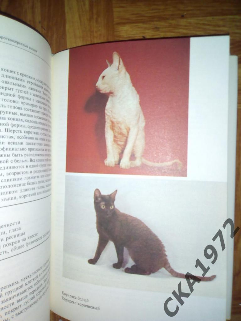 книга Атлас пород кошек 1984 3