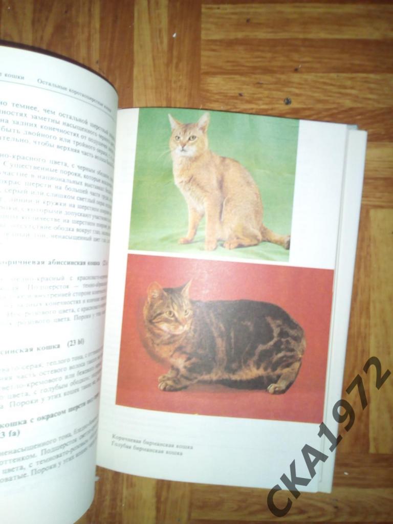книга Атлас пород кошек 1984 4