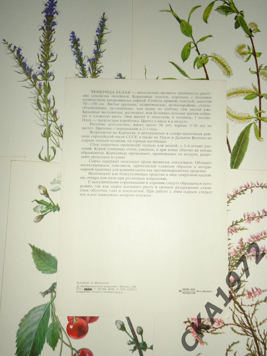 набор открыток Лекарственные растения 1980 32 шт 3