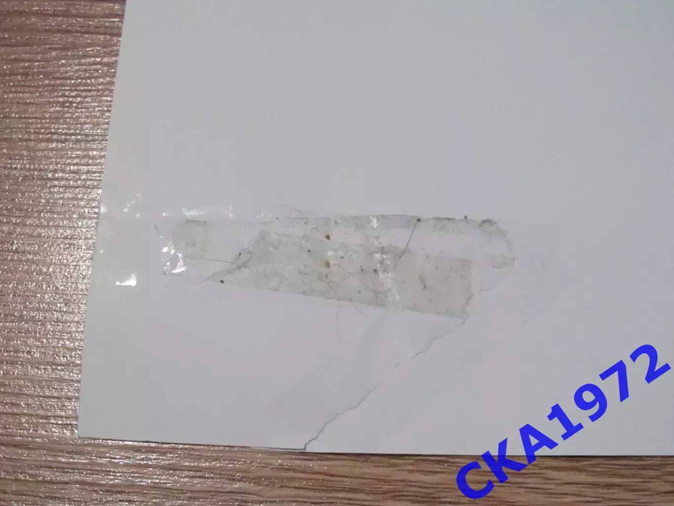 афиша КДВ Томск - Динамо Барнаул 2025 3