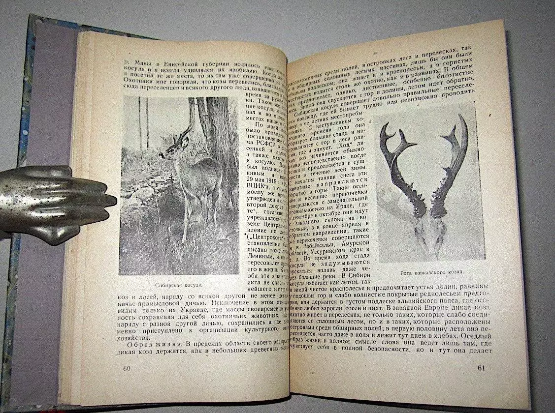 Ф.Ф. Шиллингер Европейский олень, лань и косуля в охотхозяйстве. 1930г. Автограф 4