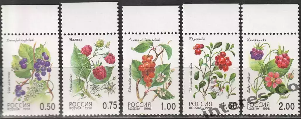 Россия ** 1998 - лесные ягоды