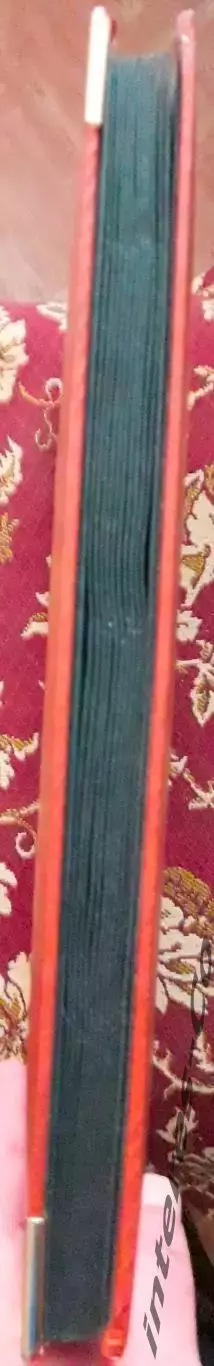 элитный широкоформатный кляссер PRINZ ROYAL для блоков и листов. 24 страницы 2