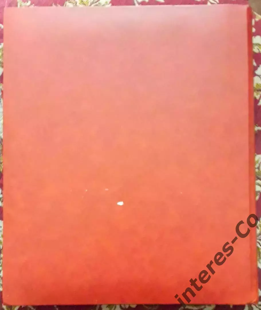 элитный широкоформатный кляссер PRINZ ROYAL для блоков и листов. 24 страницы 3