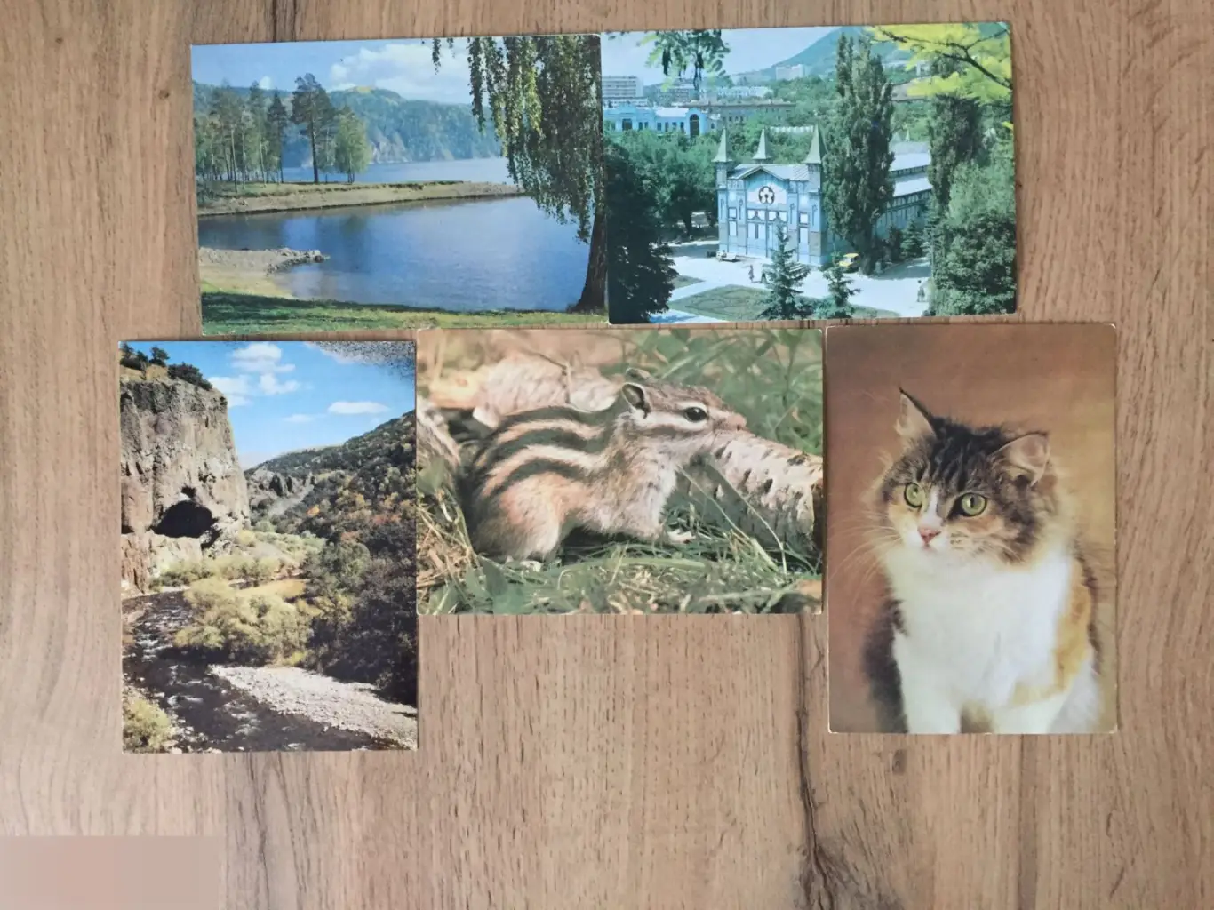 1980-е СССР 5 чистых открыток