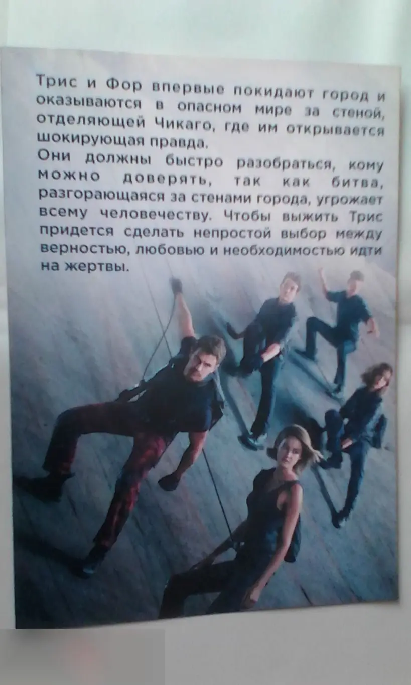 Флаер листовка Дивергент, глава 3: За стеной 1