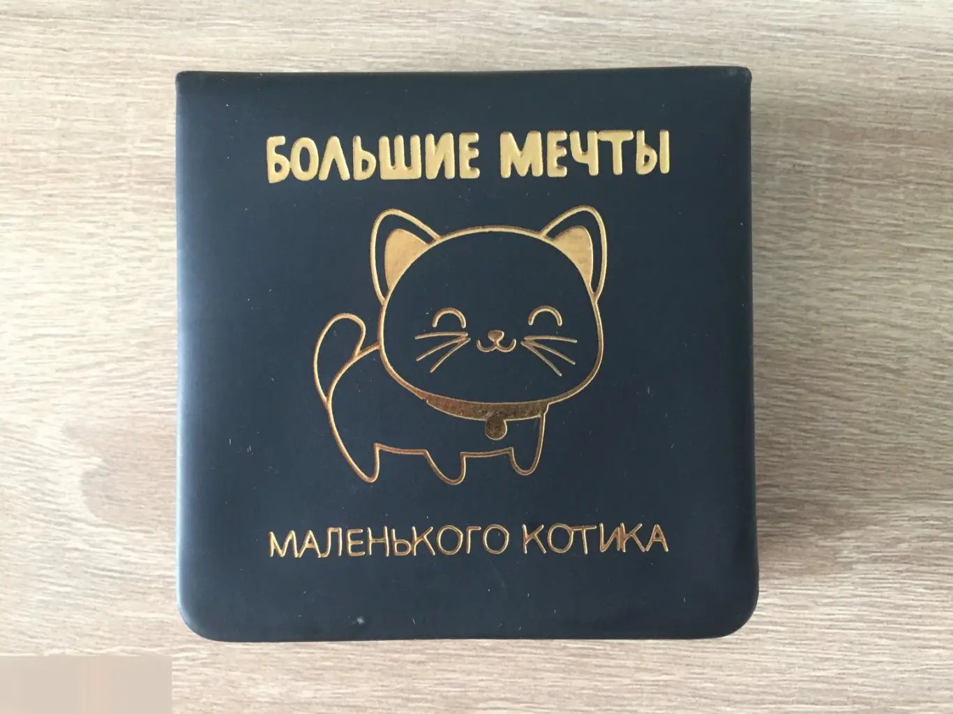 Большие мечты маленького котика. Бумажный блок в футляре из экокожи