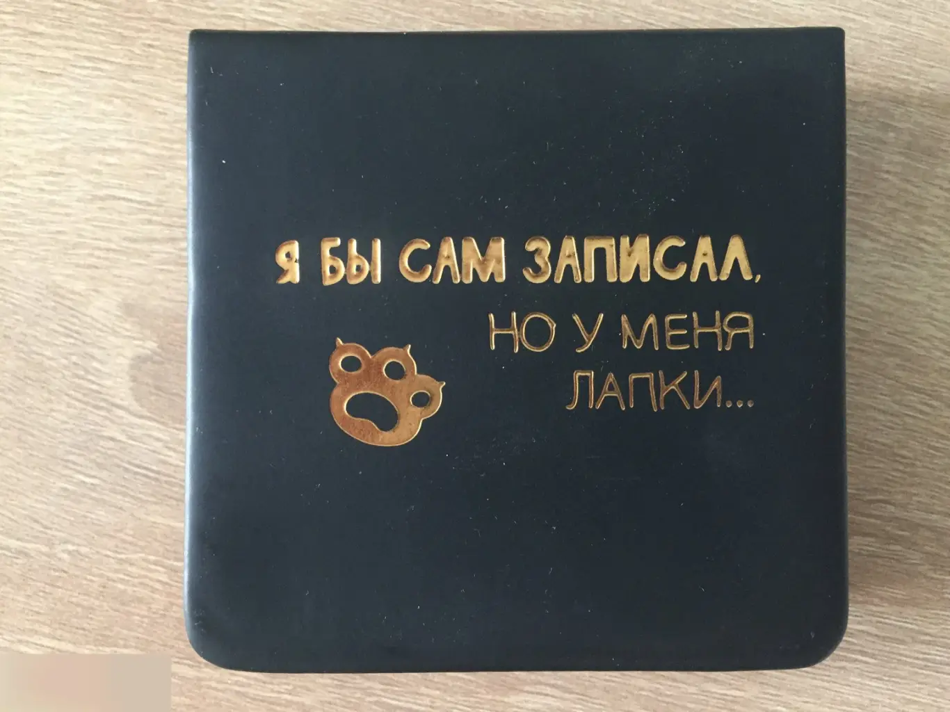 Большие мечты маленького котика. Бумажный блок в футляре из экокожи 1