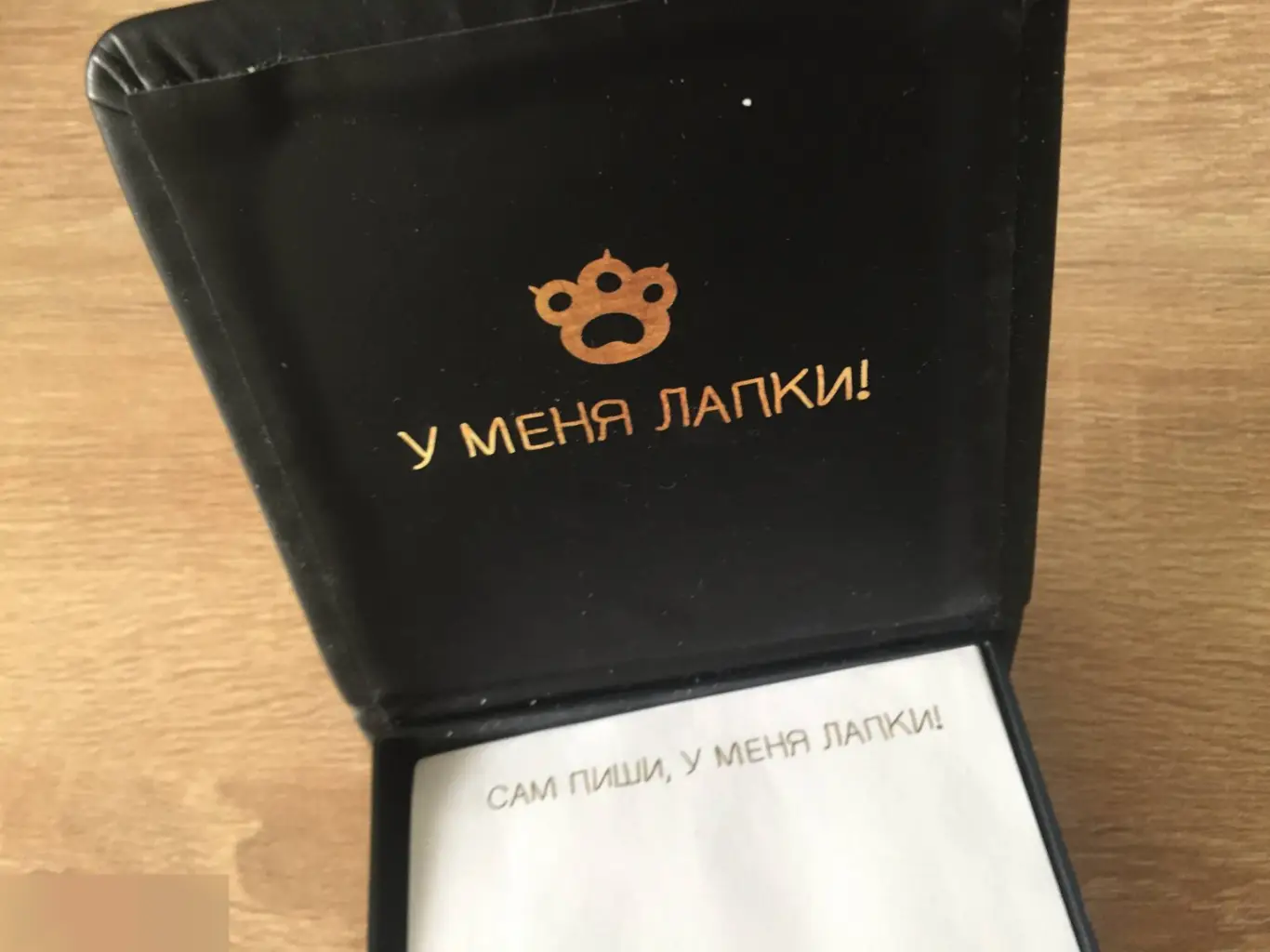 Большие мечты маленького котика. Бумажный блок в футляре из экокожи 3