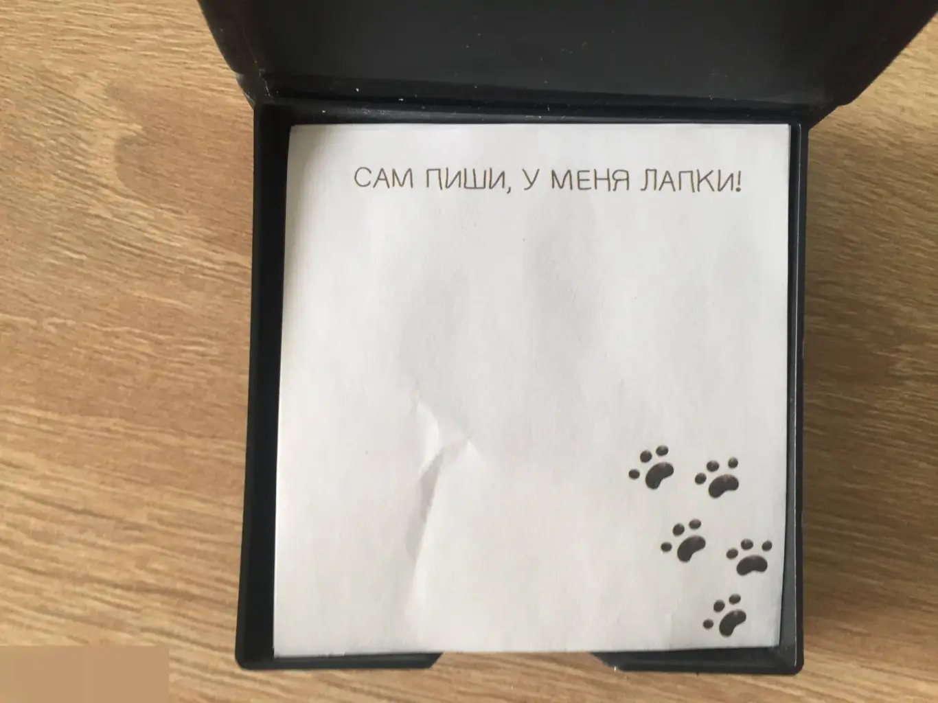 Большие мечты маленького котика. Бумажный блок в футляре из экокожи 4