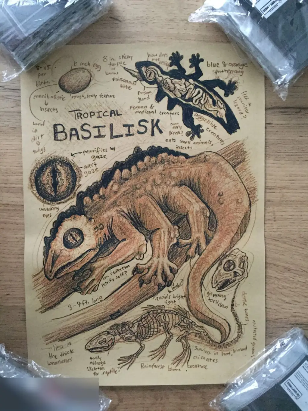 Tropical Basilisk постер плакат 21х30 см
