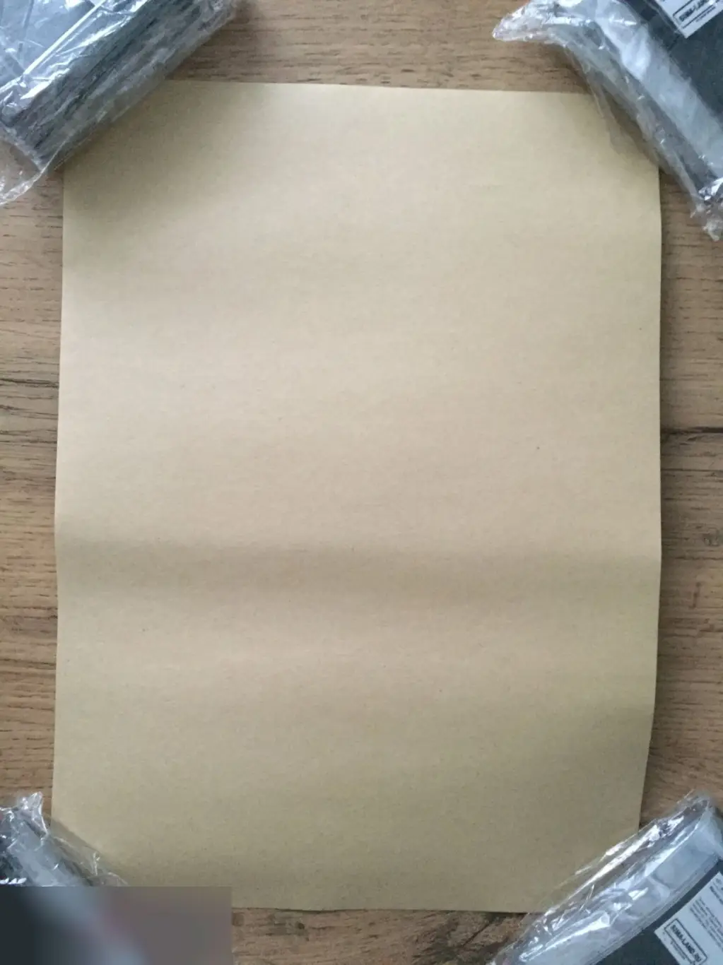 Tropical Basilisk постер плакат 21х30 см 1