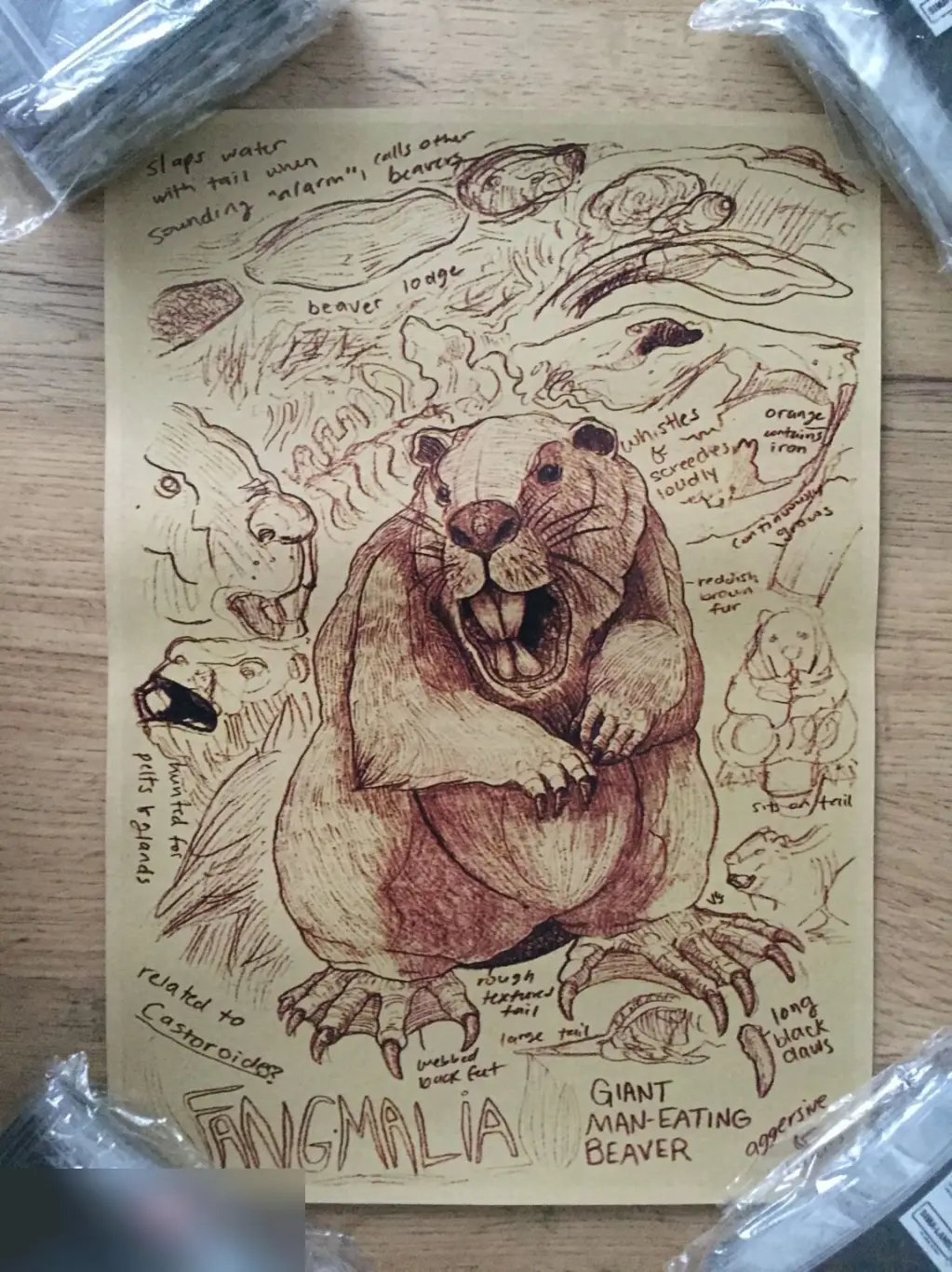 Fangmalia постер плакат 21х30 см