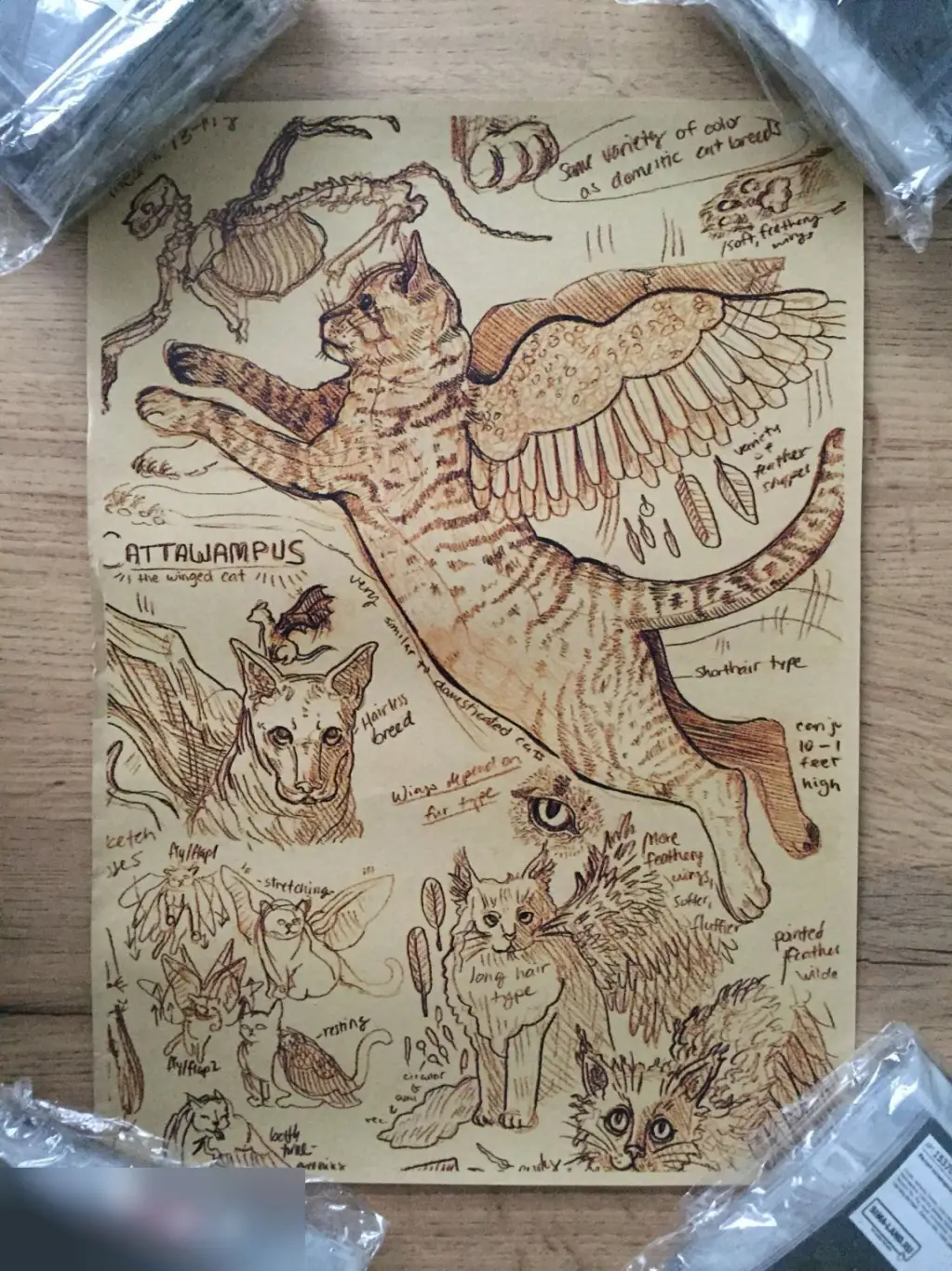 Cattawampus постер плакат 21х30 см