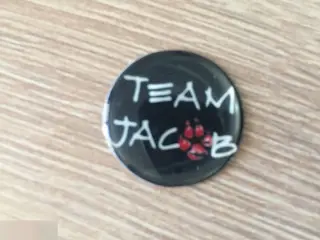 Team Jacob Сумерки 24-25 мм кабошон для украшений