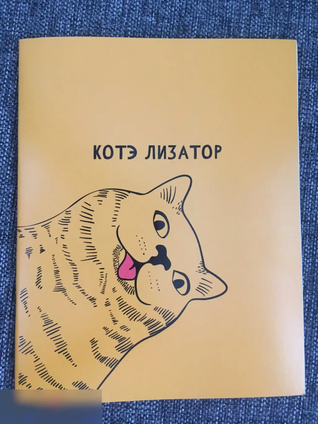 Котэ лизатор тетрадь 40 листов A5 клетка