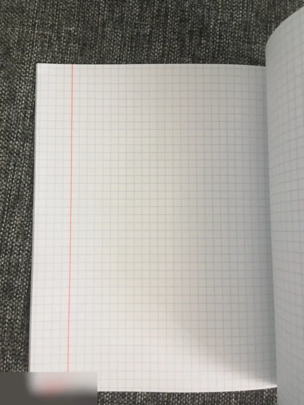 Котэ лизатор тетрадь 40 листов A5 клетка 2