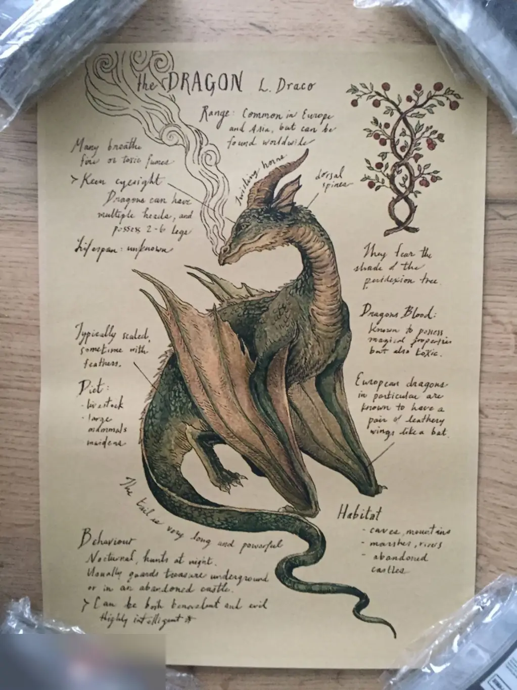 The Dragon постер плакат 21х30 см