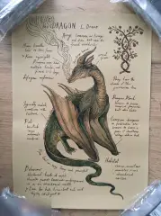 The Dragon постер плакат 21х30 см