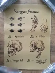 Vampyre features постер плакат 21х30 см