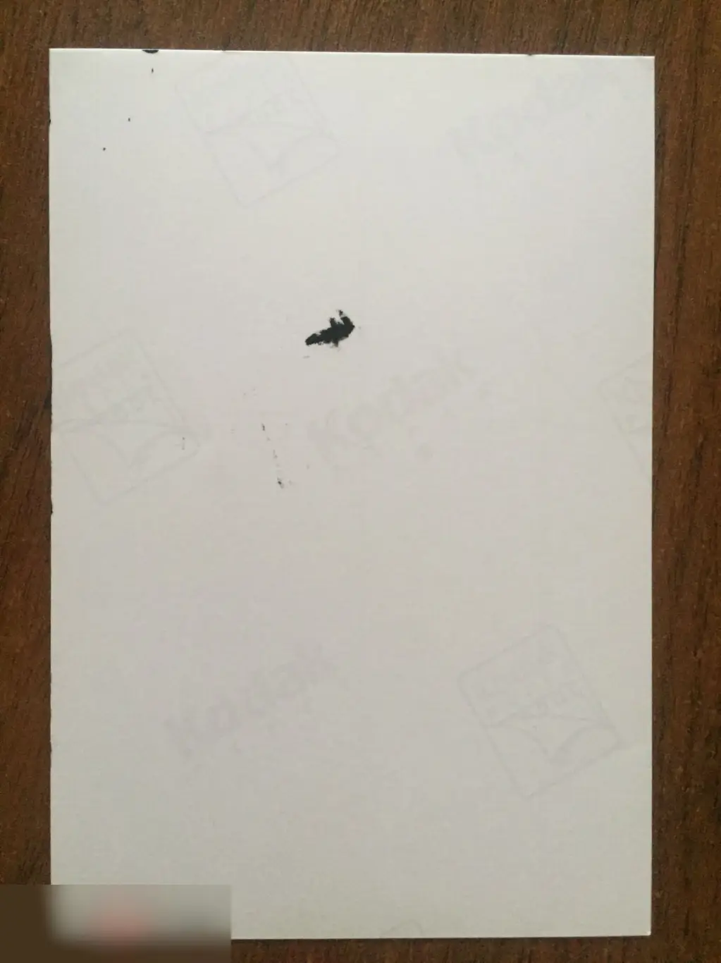 Кэндис Найт автограф на фото 1