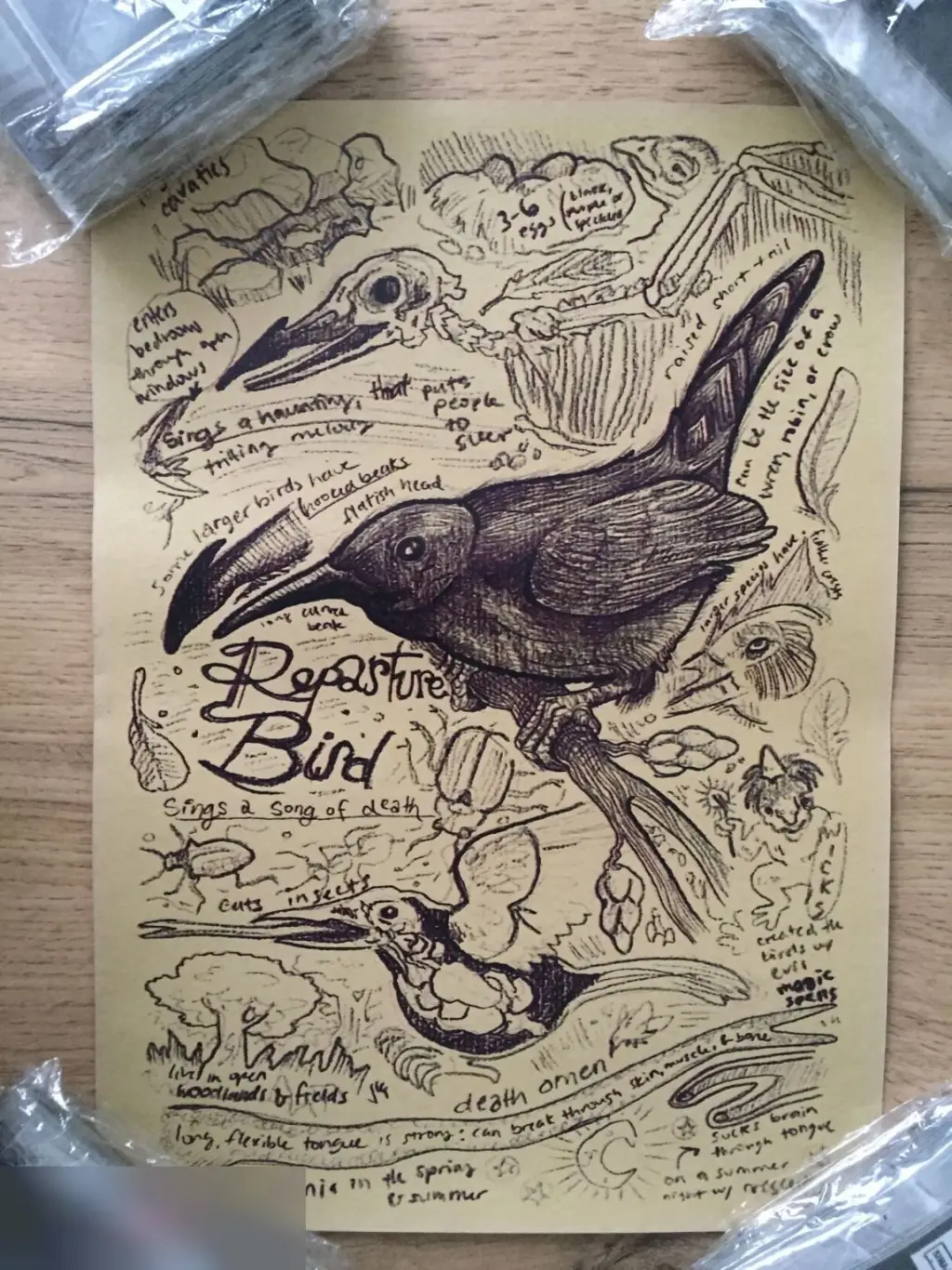 Repasture Bird постер плакат 21х30 см