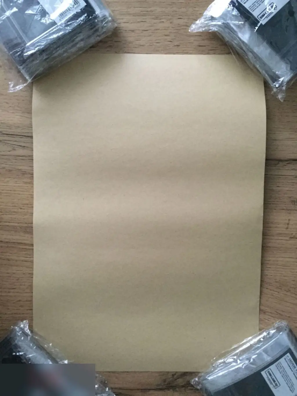 Repasture Bird постер плакат 21х30 см 1