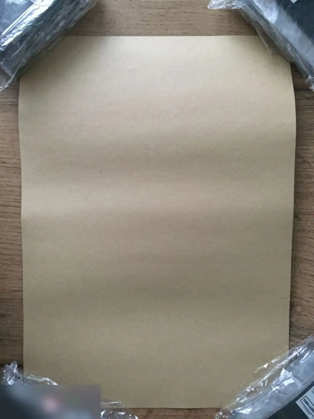 Juvenile American Robin Странствующий дрозд постер плакат 21х30 см 1