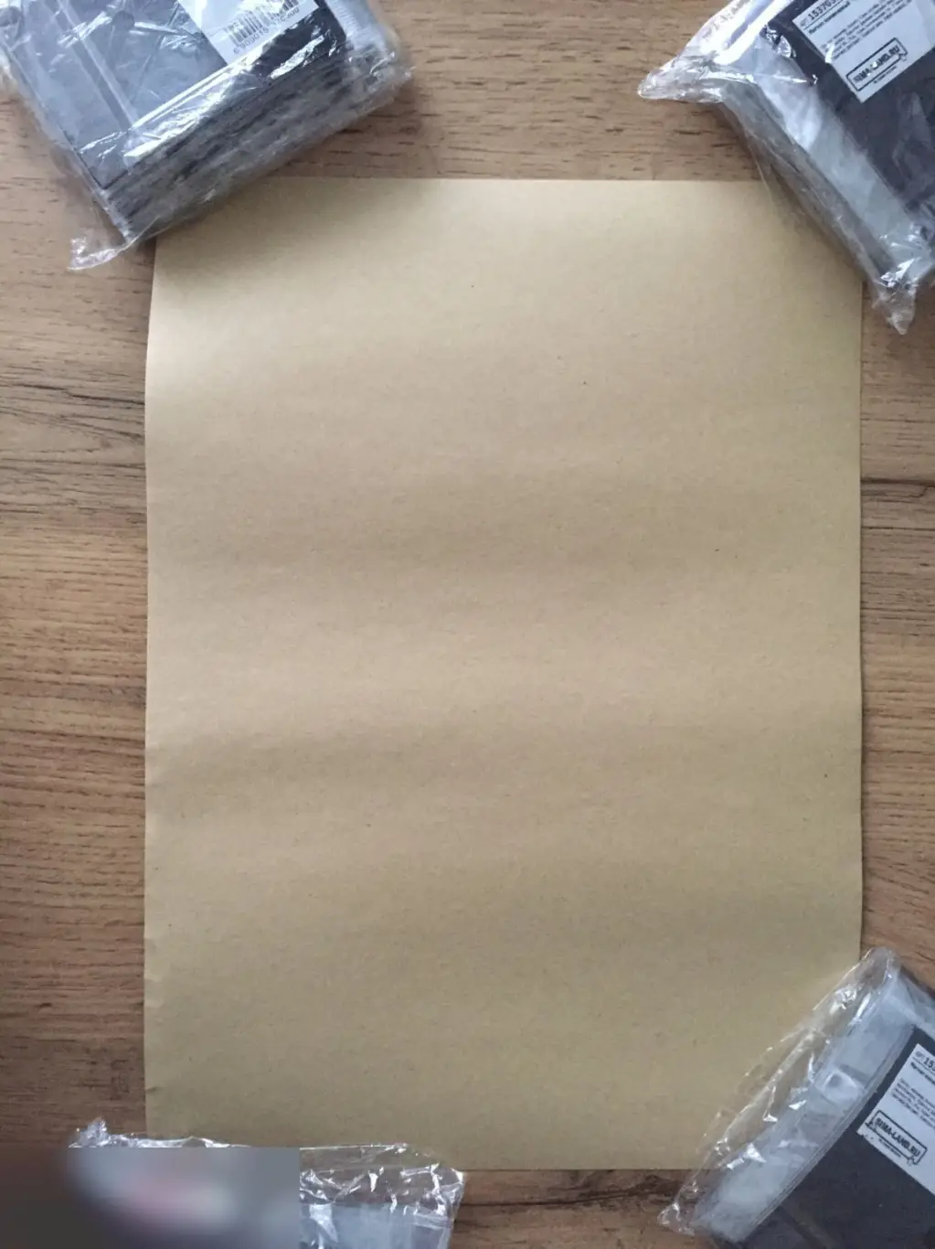 Tundra Basilisk постер плакат 21х30 см 1