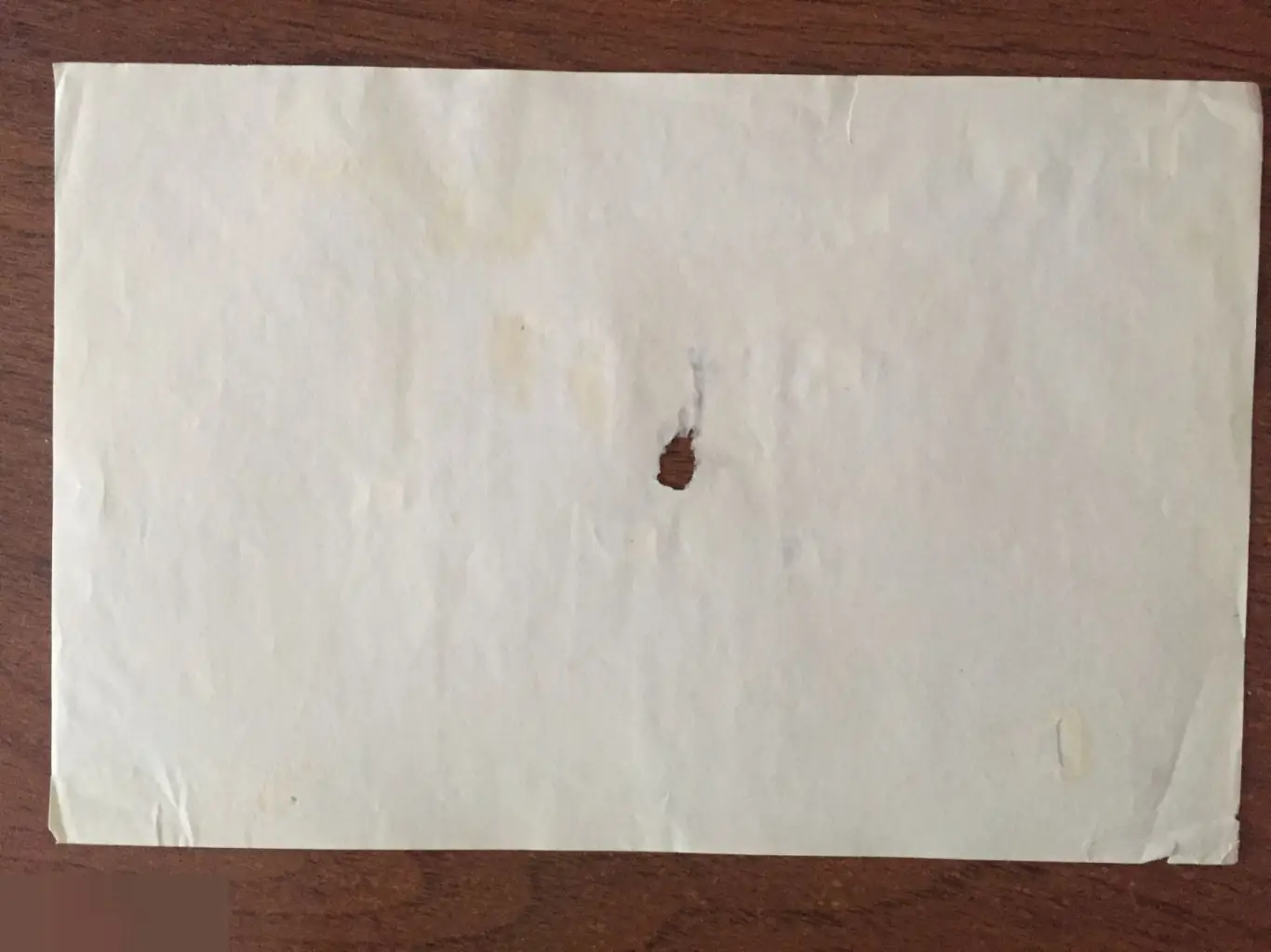 Бумага с водяным знаком World's Fair 1893 США 1