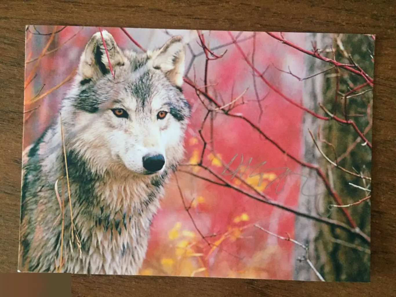 Дейв Леджено автограф на картонном фото