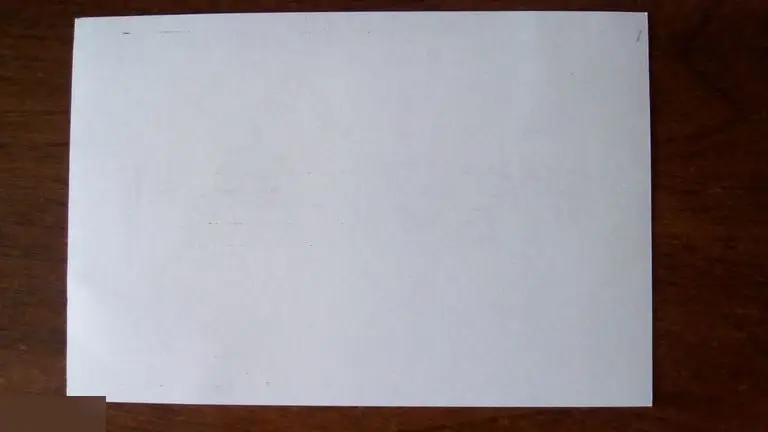 Кэролл Спинни автопен на картонном фото 1