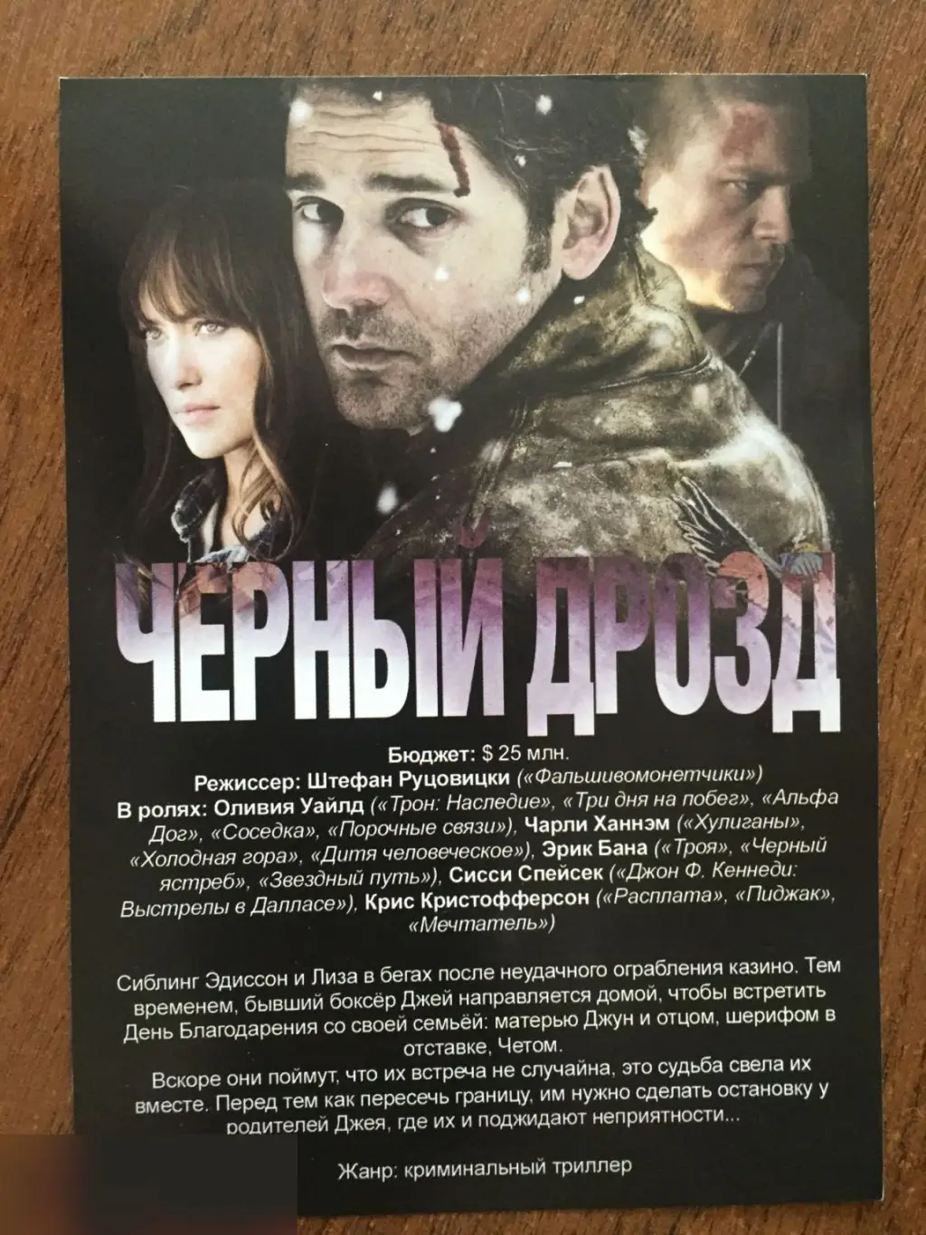 Черный дрозд флаер листовка 1