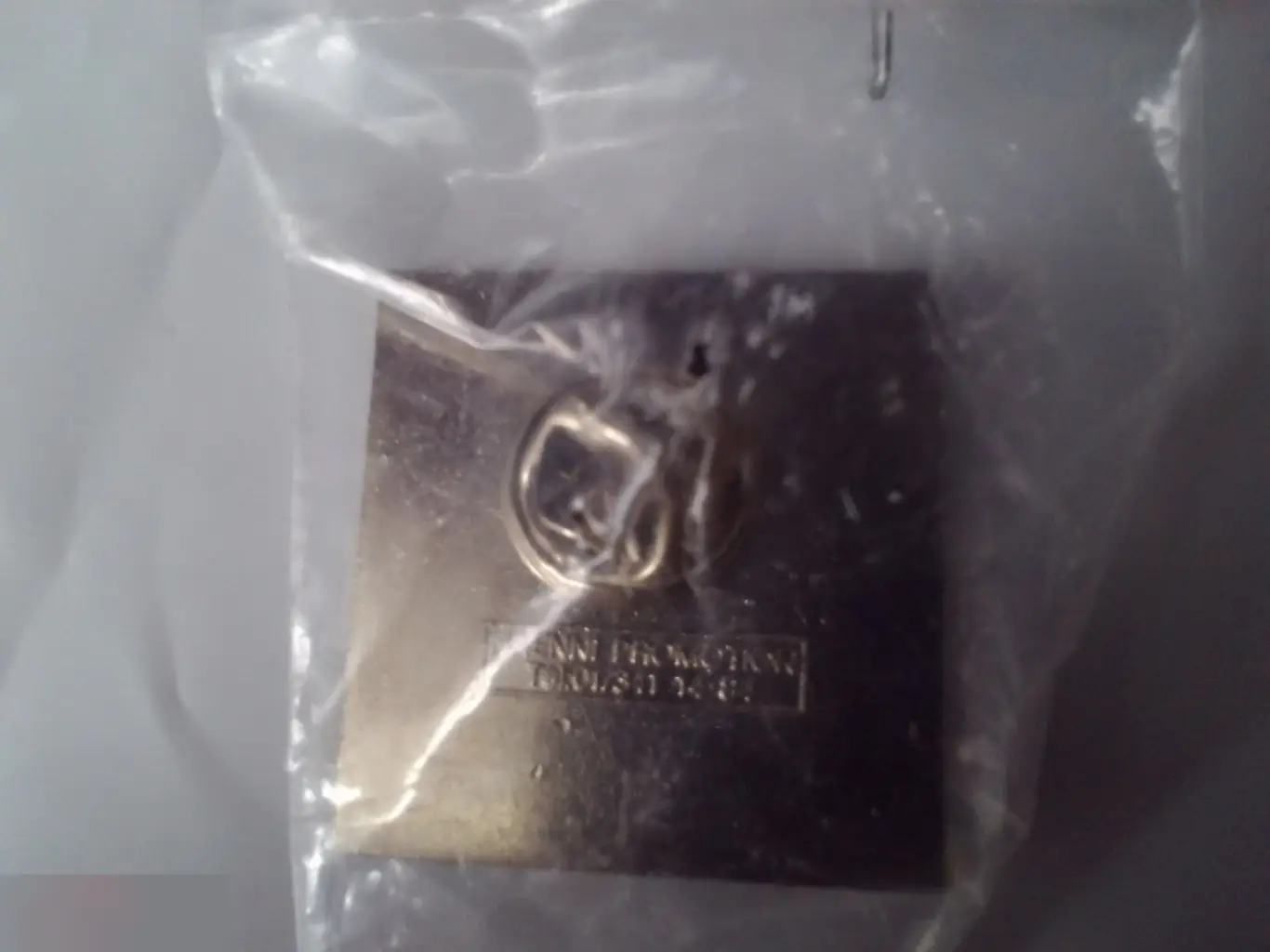 Значок Rapperswil Швейцария 1