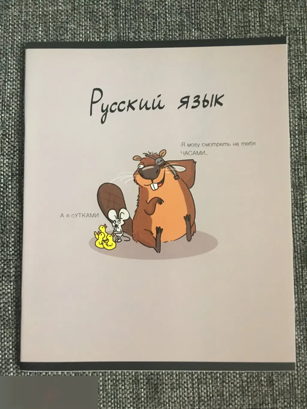 Русский язык. Я могу смотреть на тебя ЧАСАМИ. А я сУТКАМИ тетрадь 40 листов A5 линия
