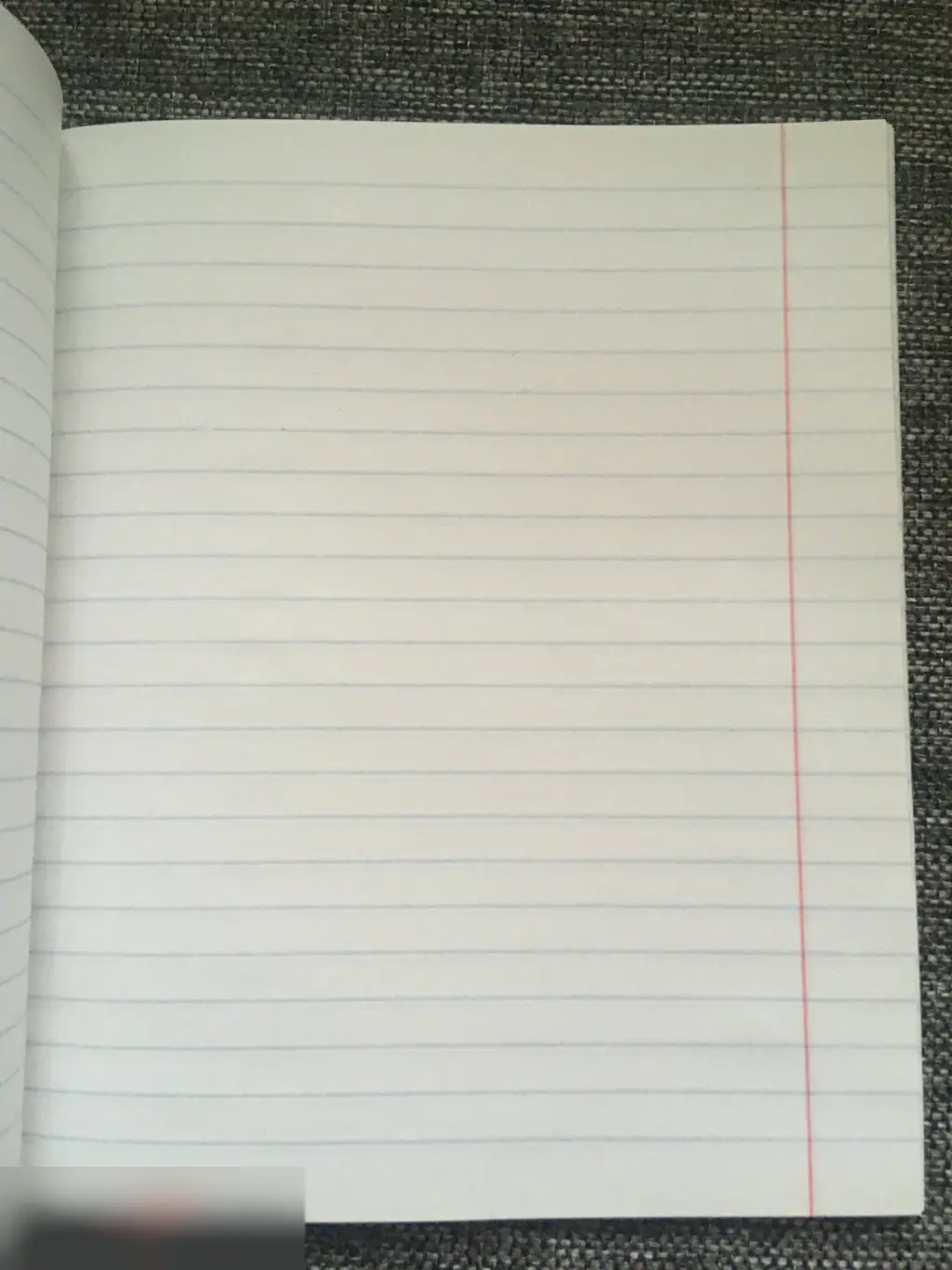 Русский язык. Я могу смотреть на тебя ЧАСАМИ. А я сУТКАМИ тетрадь 40 листов A5 линия 2