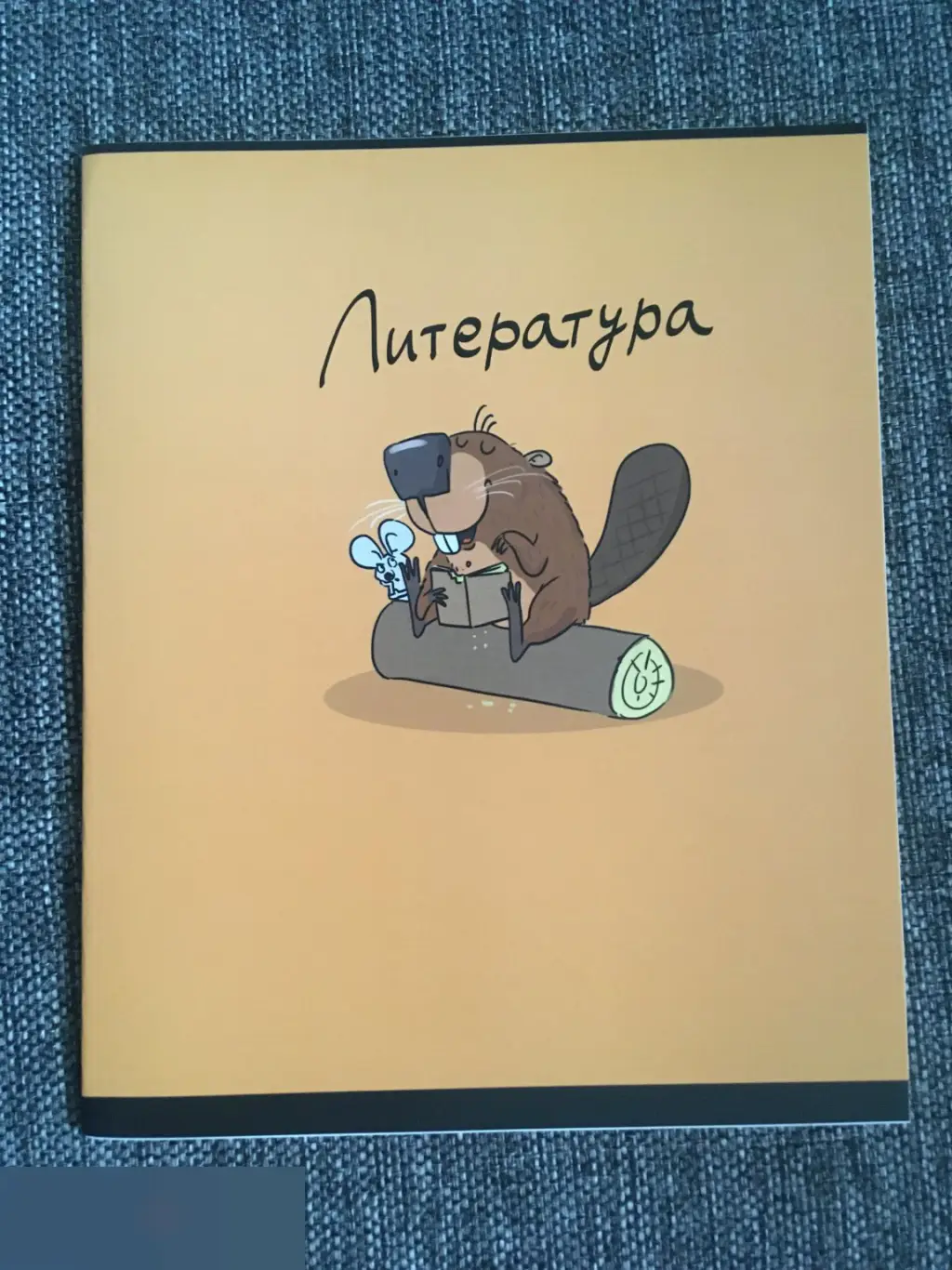 Литература тетрадь 40 листов A5 линия