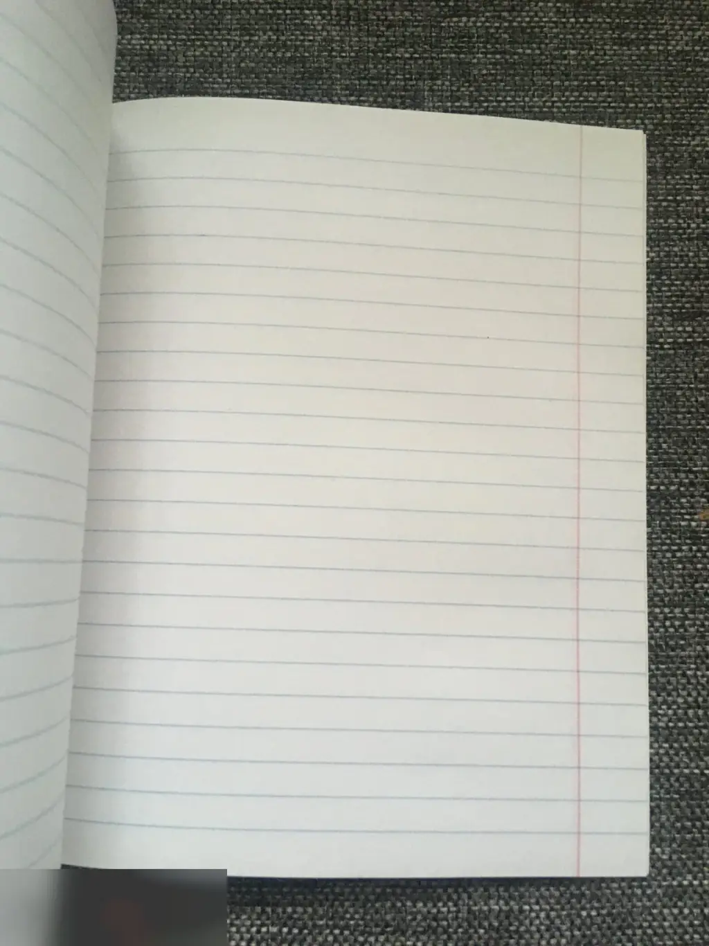 Литература тетрадь 40 листов A5 линия 2