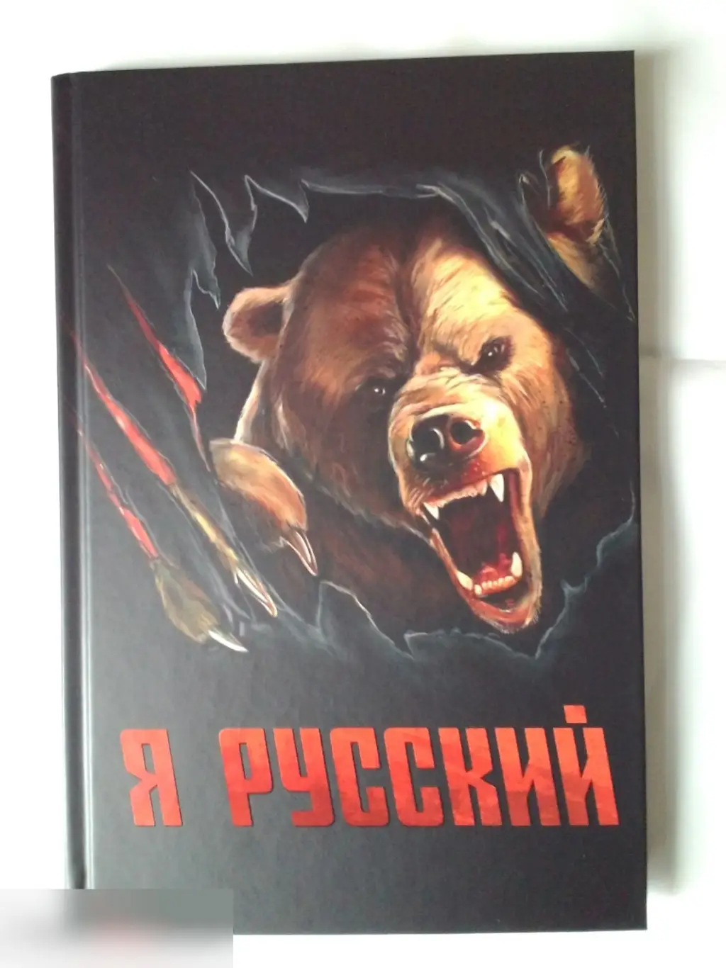 Ежедневник Я русский твёрдая обложка А5 80 листов