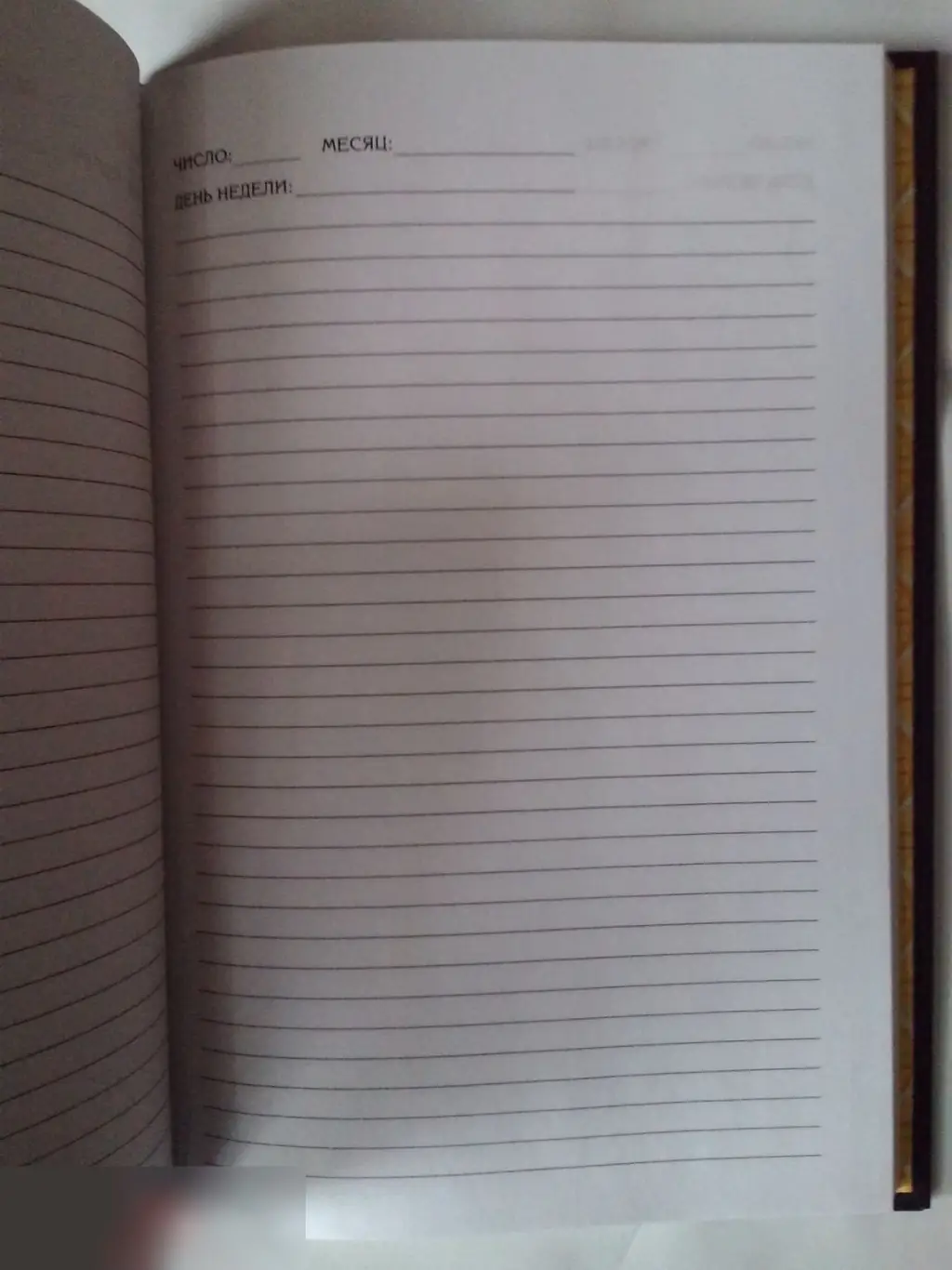 Ежедневник Я русский твёрдая обложка А5 80 листов 1