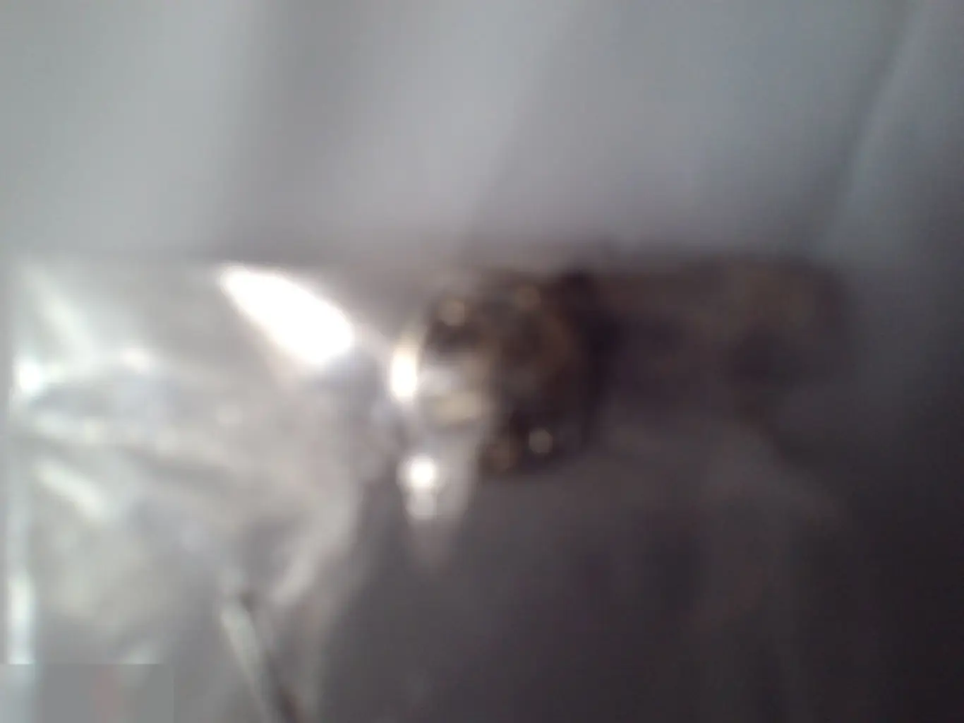 Значок spa Бельгия 1