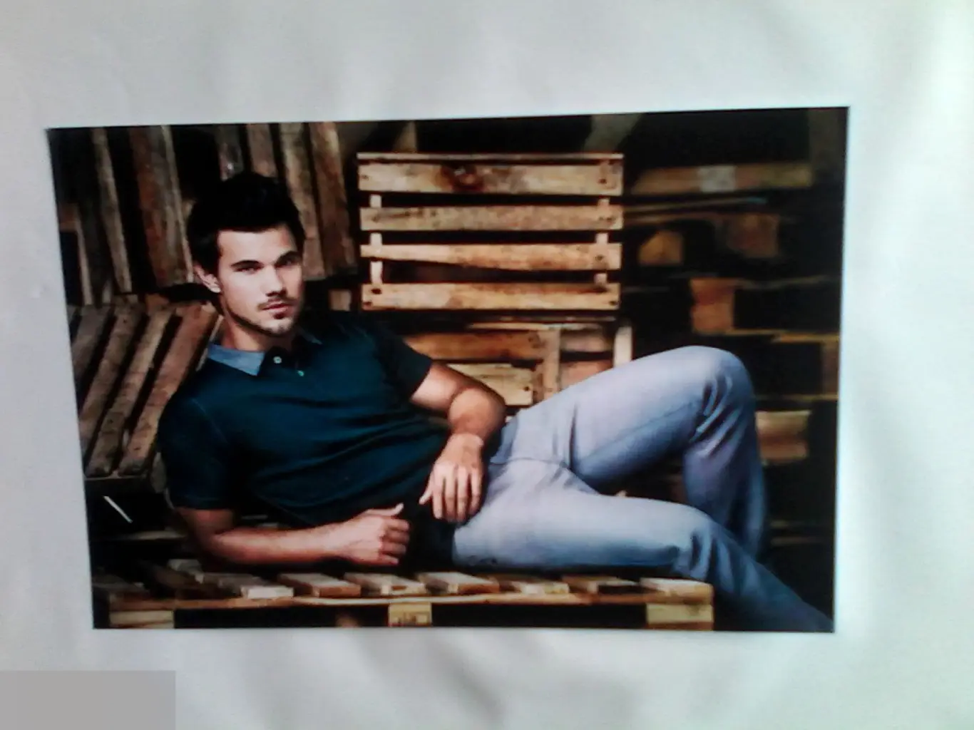 Тэйлор Лотнер актёр современное фото 10*15 см